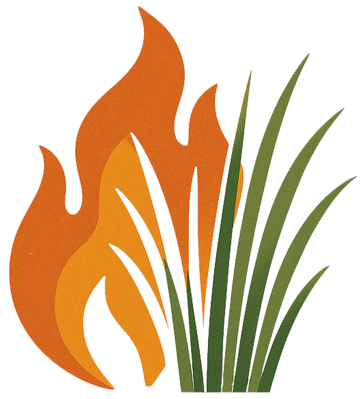 Se chauffer au miscanthus